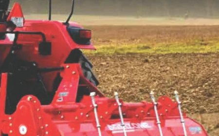 Rotavator Grizo pudding